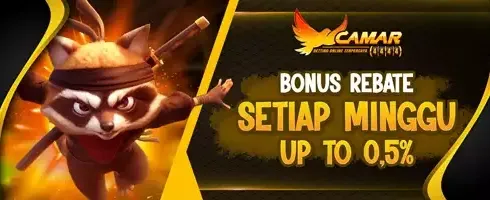 VIP Rebate Slot Game promotional banner